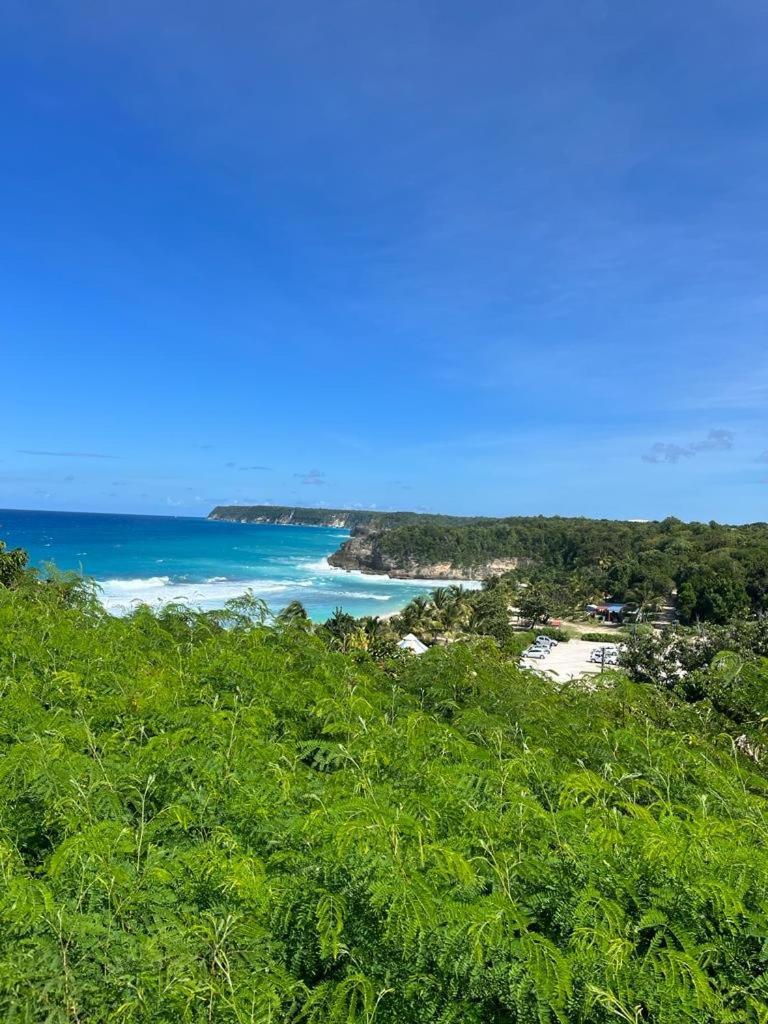  La Kaz A Coyoky Anse-Bertrand Exterior foto